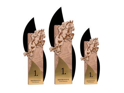 Jezdectvi zena TrofejSilueta web