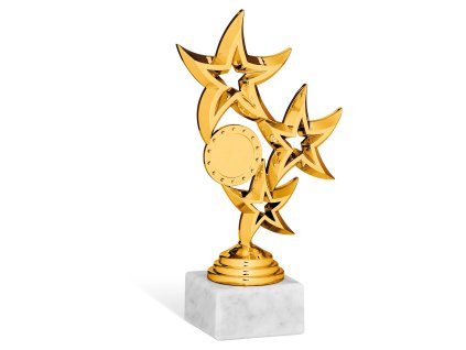 2010 sportovy pohar 6306