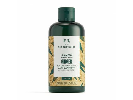 Šampon proti lupům Ginger (Anti-Dandruff Shampoo) (Objem 250 ml)