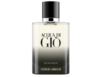 Acqua Di Giò Pour Homme - EDP (Objem 100 ml)