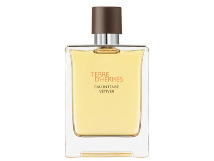 Terre D`Hermes Eau Intense Vetiver - EDP (Objem 50 ml)