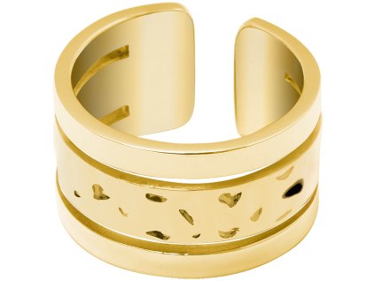 prsten pierre lannier model echo bj10a7205