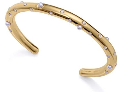 naramek viceroy fashion model chic