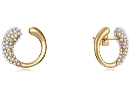 nausnice viceroy fashion model chic