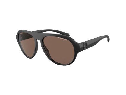 Hnědé acetátové sluneční brýle