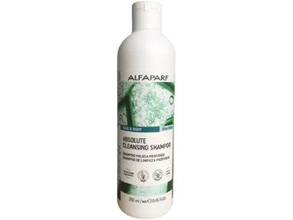Čisticí šampon Hair & Body Absolute (Cleansing Shampoo) (Objem 250 ml)