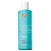 Regenerační šampon s obsahem arganového oleje na slabé a poškozené vlasy (Moisture Repair Shampoo) (Objem 250 ml)