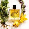 Vetiver Insolent - EDP (Objem 50 ml)