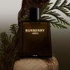 Burberry Hero - parfém (Objem 100 ml)