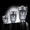 Invictus Platinum - EDP (Objem 200 ml)