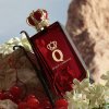 Q By Dolce & Gabbana - parfém (Objem 50 ml)