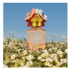 Daisy Ever So Fresh - EDP (Objem 125 ml)