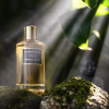 eternal wood edp 248910107085613