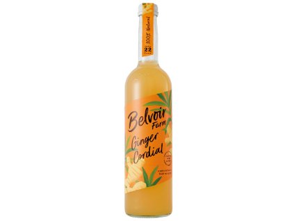 ginger belvoir