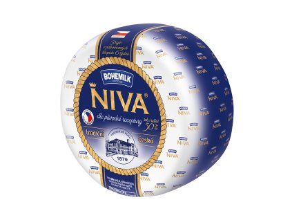 BM NIVA DOLNI PRIM 02 3D