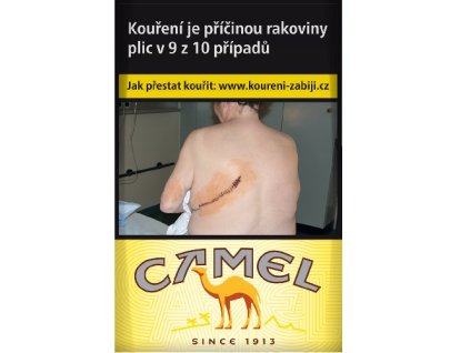 camel