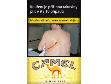 Camel Yellow KS 173,-Kč