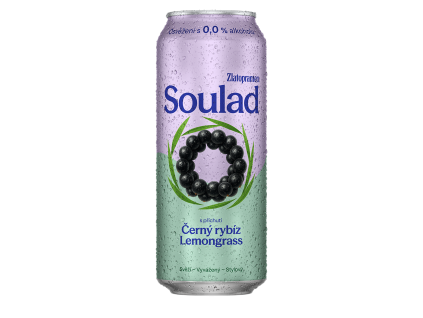 soulad černy rybiz