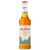 monin agave 0.7l