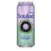 soulad černy rybiz