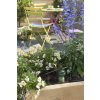 TB Balkon 04 (Strauss2016) (2)