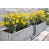 TB Balkon 05 (Strauss2016) (2)