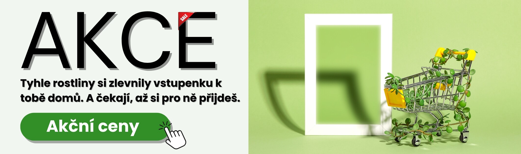 Akce