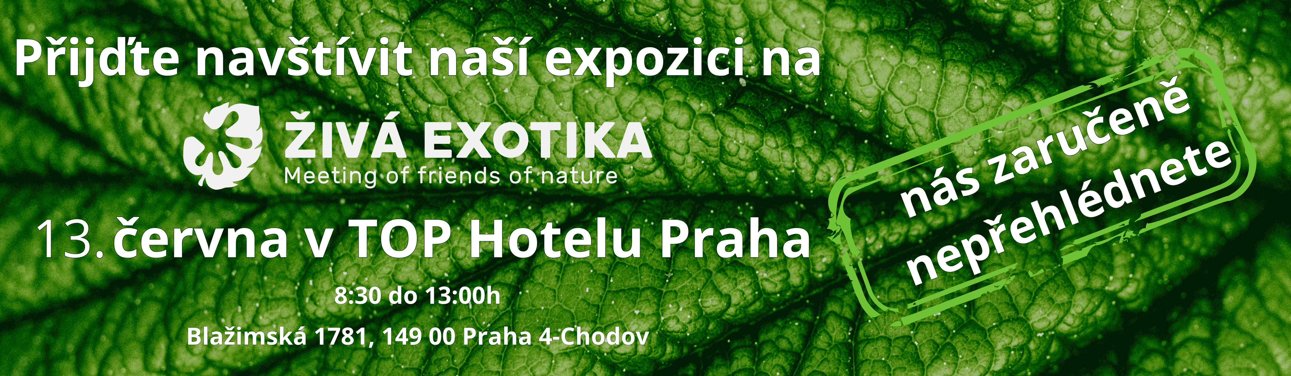 Exotika_velka_cerven
