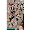 Crypt zonatus