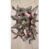 Philo pink marble
