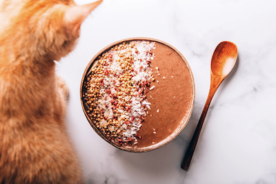 Čokoládovo-banánová smoothie bowl