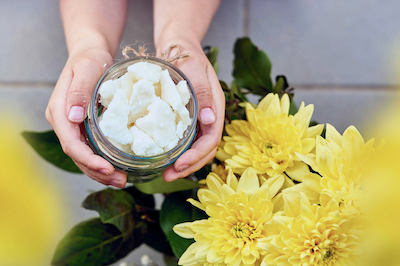 Světový den včel: Proč na něj Tropikalia upozorňuje