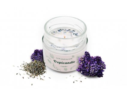 tropicandle lavender