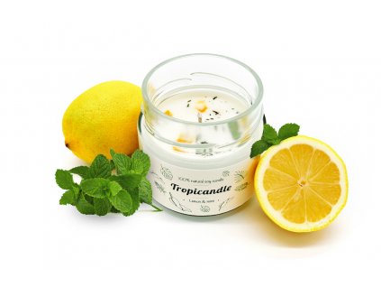 tropicandle lemonmint