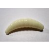 Maggot 40mm