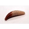 Maggot 40mm