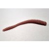 Worm 70mm
