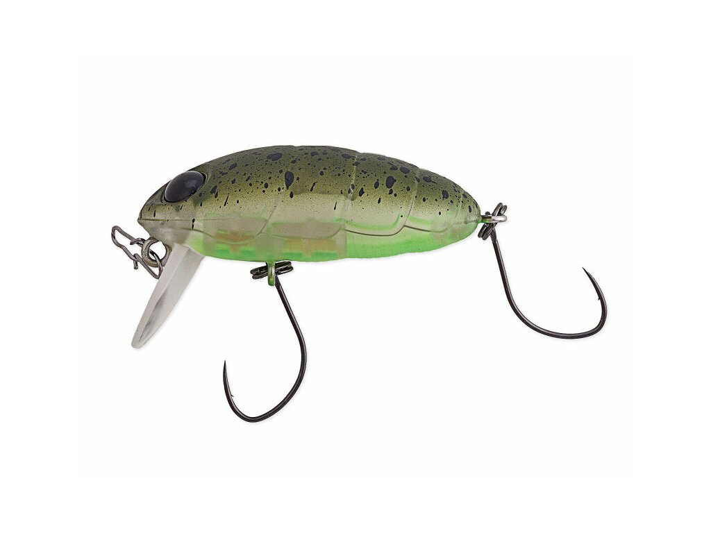 Nories crankin boss pupa shallow 347m kokedama