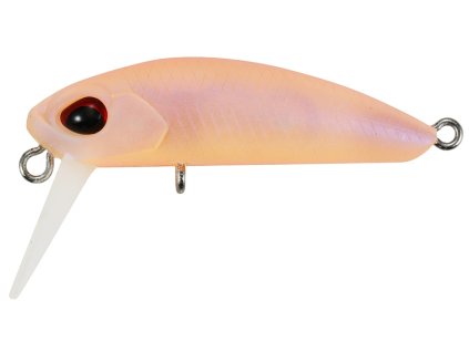 KUGA WW SS M166 Shell Orange