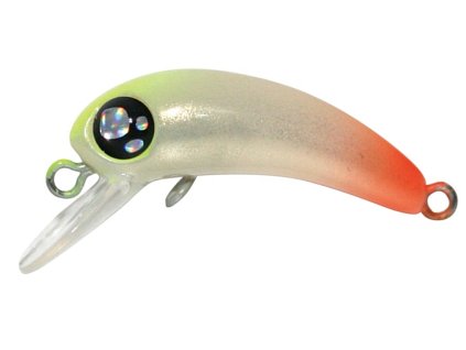 Rob Lure Berbie F no.2