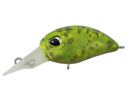 ValkeIN Haze Clear Avocado CCCM112