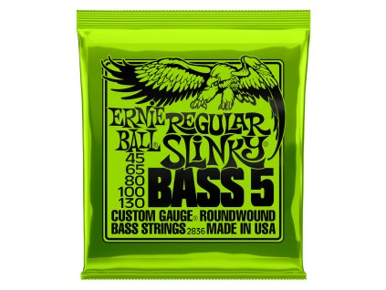 ernie ball 2836