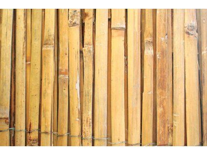 Plot Bambus BSF 2000 mm, L-5 m, štiepaný