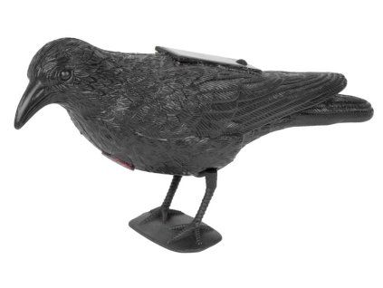 Plašič vtákov Havran čierny, solárny, zvuk