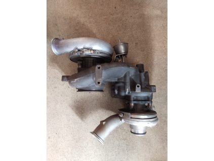 WhatsApp Image 2024 06 13 at 15.19.50