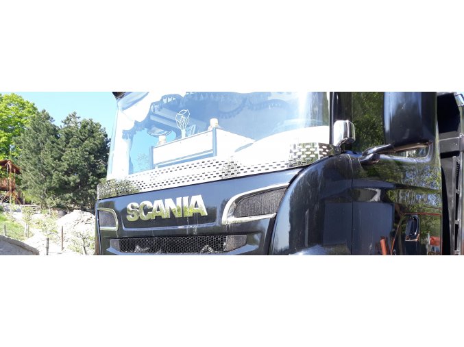 Scania bug guard