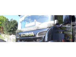 Scania bug guard