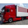 DAF XF chrome trim