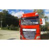 DAF front grille
