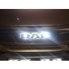 DAF front badge